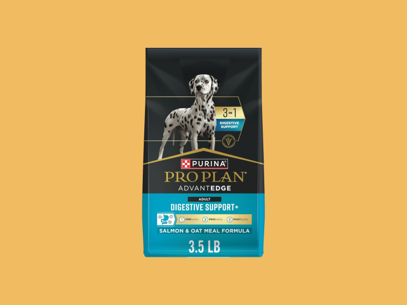 The Curator: Amazon Prime Day pet picks you don’t want to miss