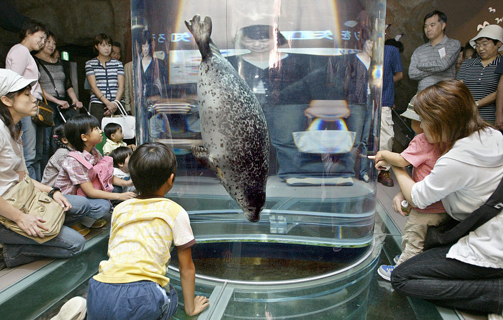 Japan Zoo Worker Allegedly Admits To Throwing Wife’s Body Into Animal Incinerator - Beritaja