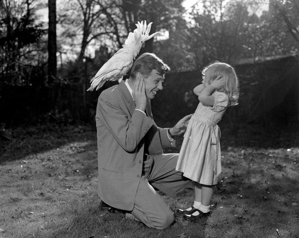 Three-year-old Susan and her father David Attenborough cover their ears as sulphur-crested cockatoo Georgie lets out a piercing shriek. Georgie has been brought home to Richmond from New Guinea, which David Attenborough visited for his 'Zoo Quest' series.