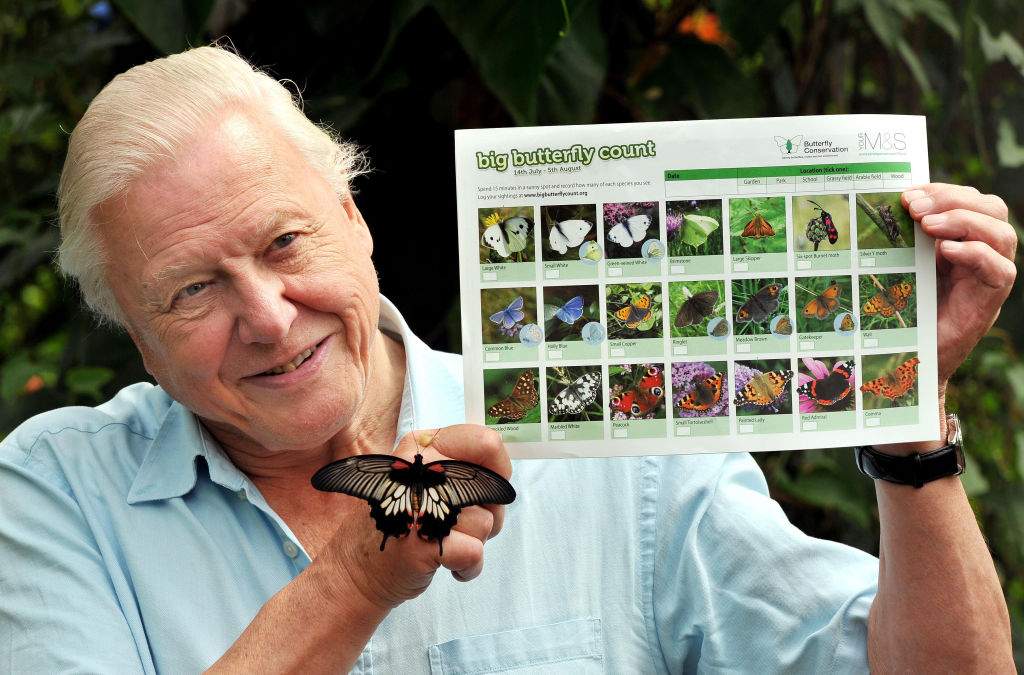 Butterfly Conservation President Sir David Attenborough with a south east Asian Great Mormon Butterfly and and a sheet detailing different species common in the UK, as he launched the Big Butterfly count at the London Zoo in Regent's Park, London.