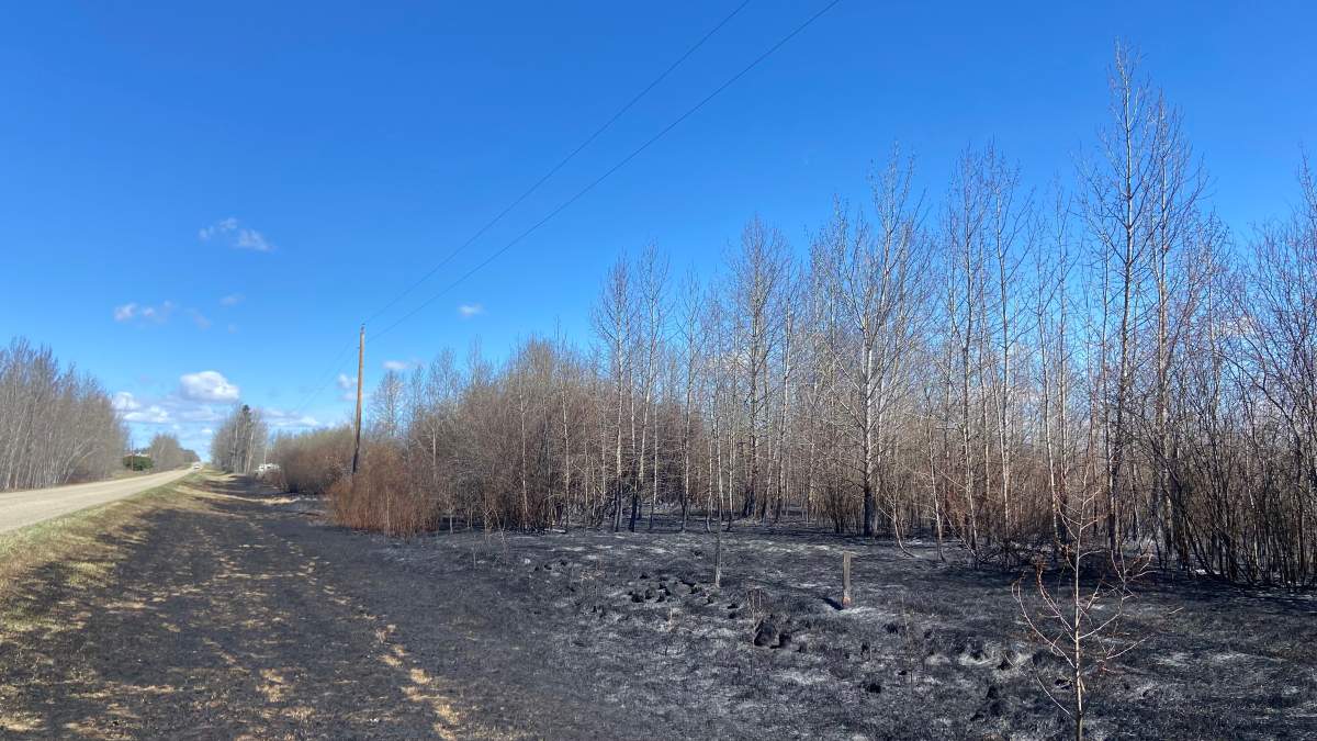 On Sunday an Alberta Emergency Alert was issued because of a wildfire burning in Parkland County near Range Road 10 and Beau Rand Estates about an hour west of Edmonton.