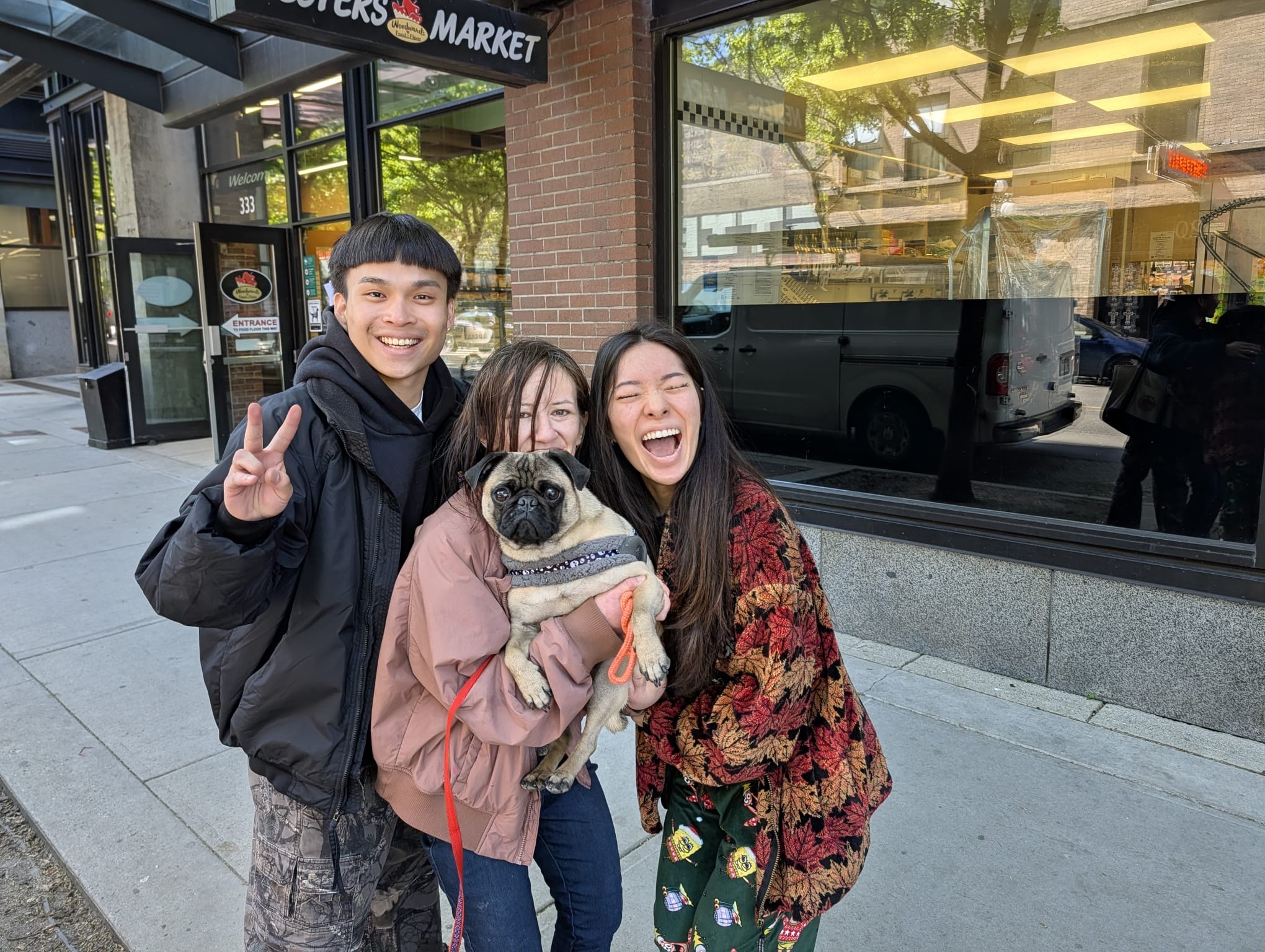 Munchy the missing pug reunited with family after Downtown Eastside adventure
