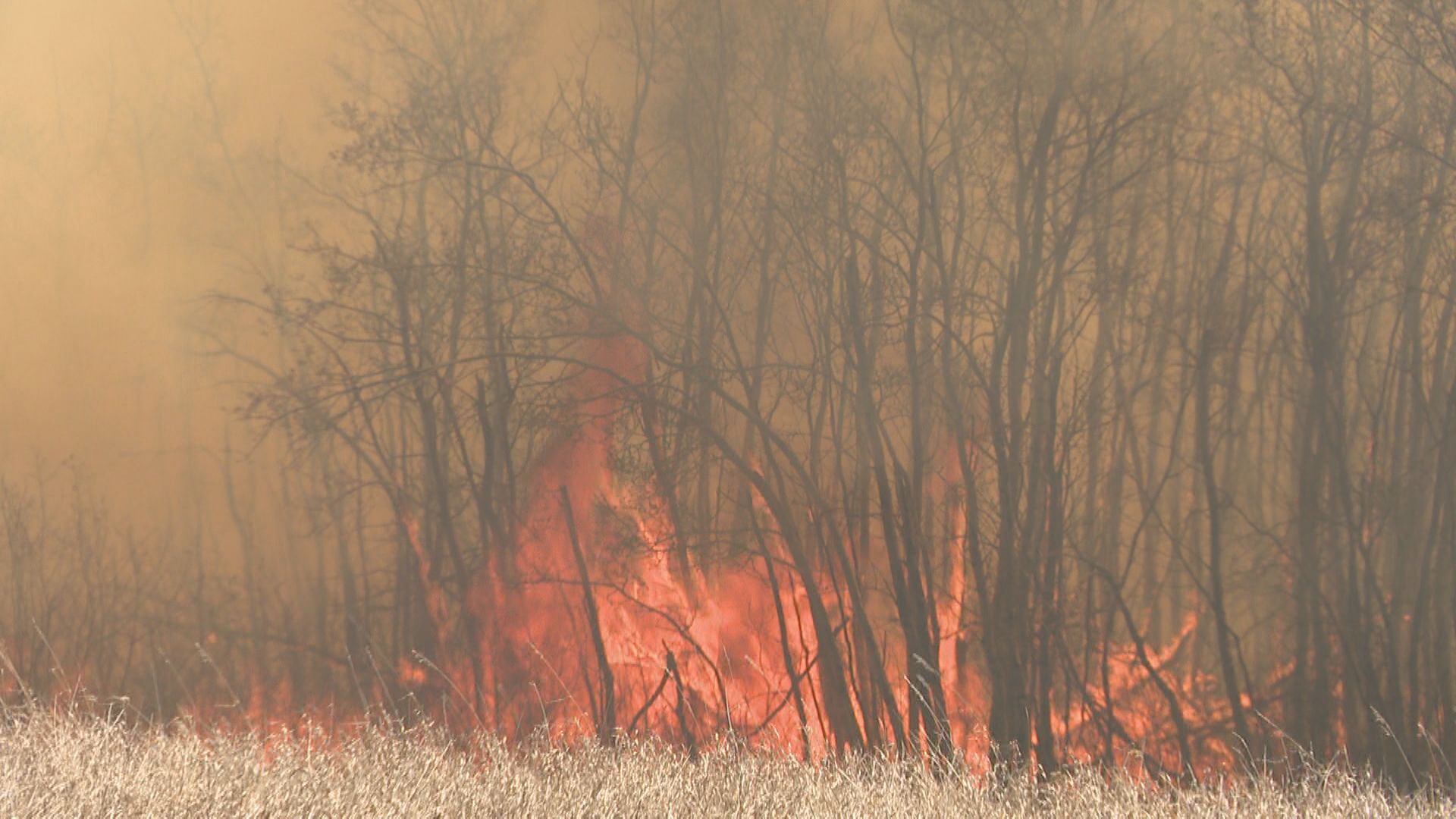 Saskatchewan officials urge caution as dry weather triggers wildfires
