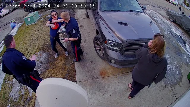 Owner Of Summerside Dogs That Killed Boy Tells Court Training Was In The Works - Beritaja