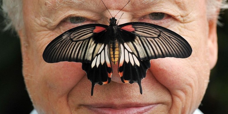 David Attenborough, natural historian and renowned broadcaster, turns 100