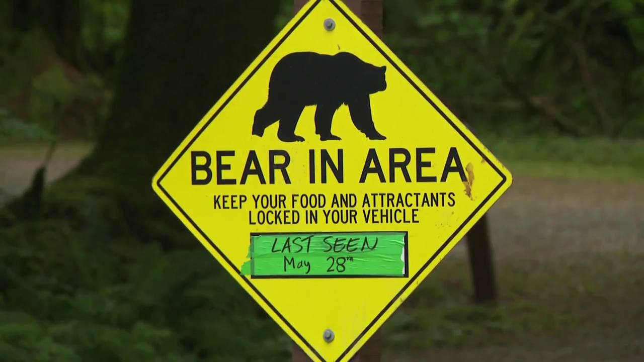The Golden Ears Bear Execution and the Myth of Public Safety