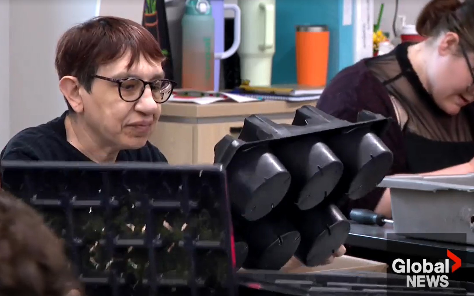 The Broken Economy of Compassion and the Crisis in Disability Support