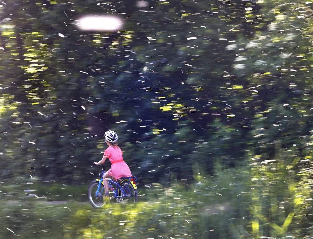 Why Your Seasonal Allergies Feel So Much Worse Right Now