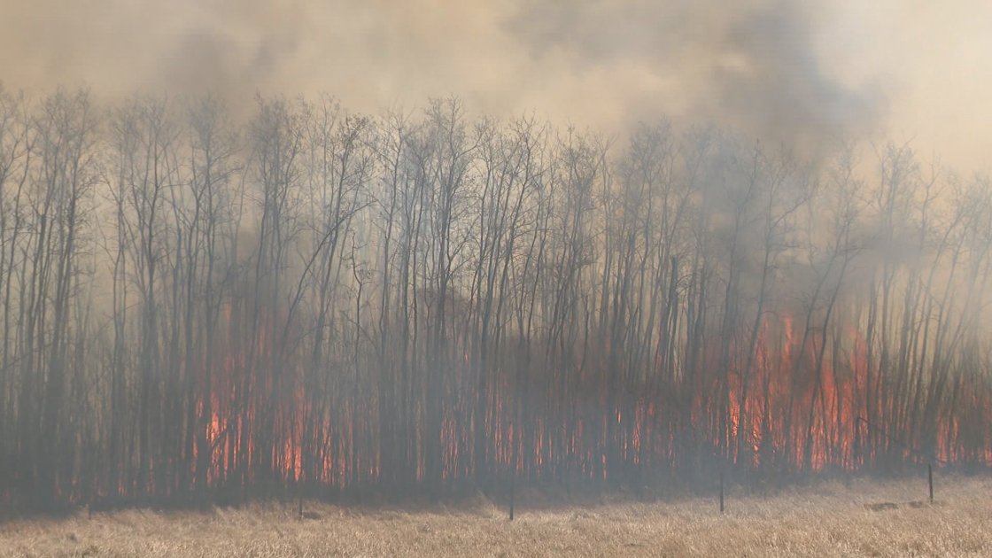 Wildfire Act-related charges laid following blaze northeast of Regina - BERITAJA