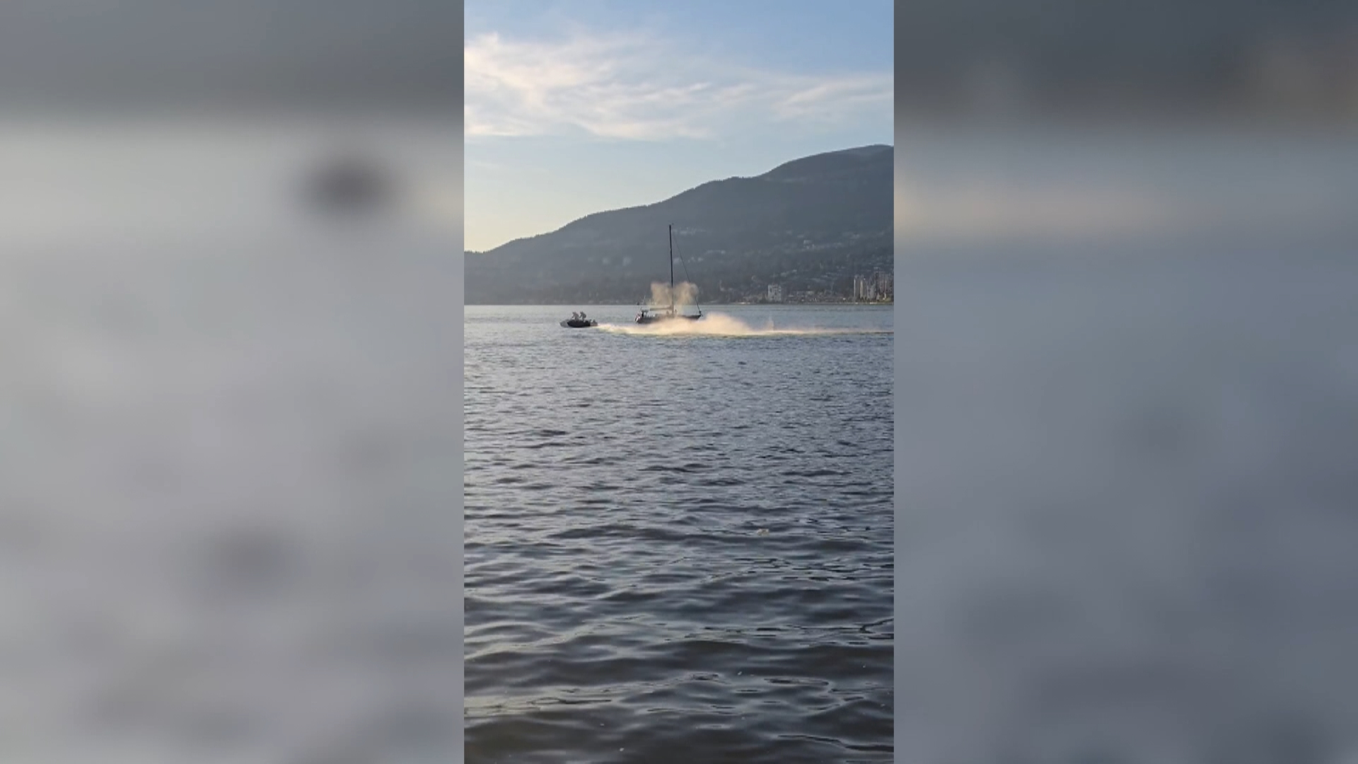 Video Captures Moment Jet Ski Hits Grey Whale Off Stanley Park - Beritaja