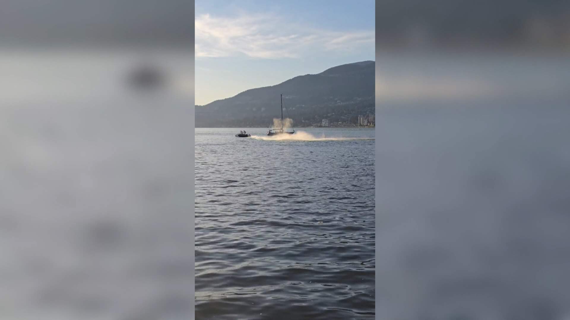 Video captures moment jet ski hits grey whale off Stanley Park