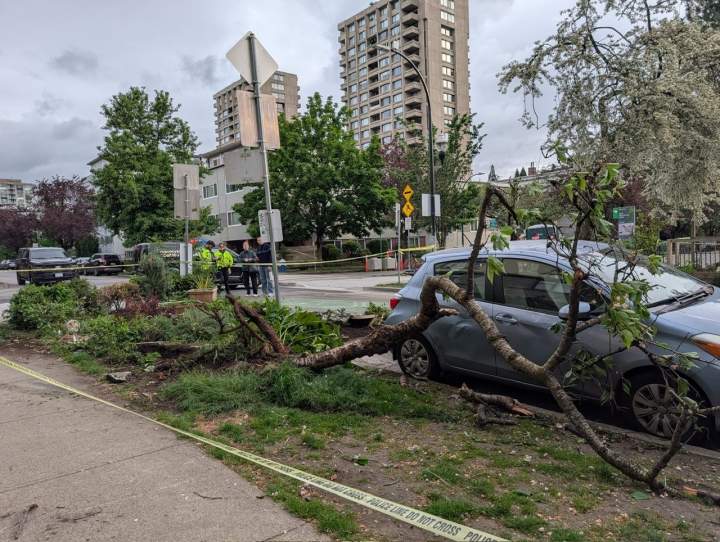 Vancouver senior struck in West End vehicle ramming dies from his injuries