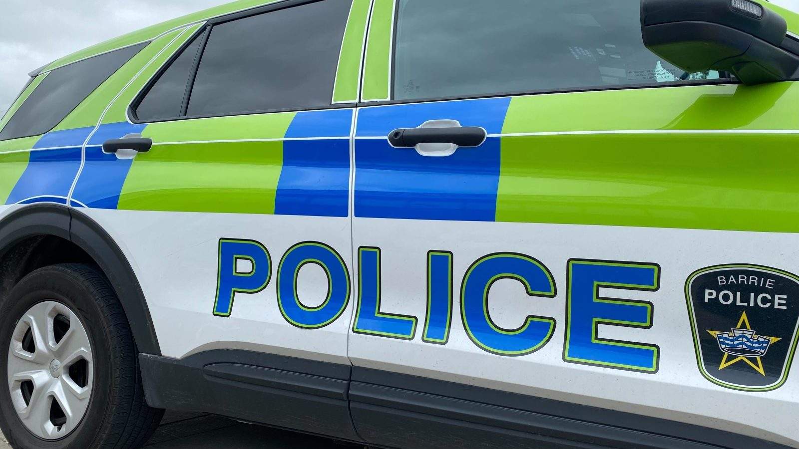 Several people, including child, attacked by loose