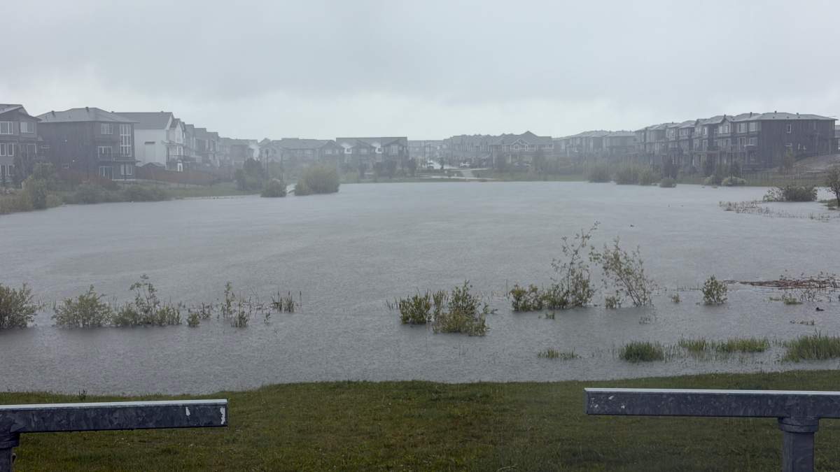 An overflowing stormwater pond in southwest Edmonton's Keswick neighbourhood on Monday, June 22, 2026.