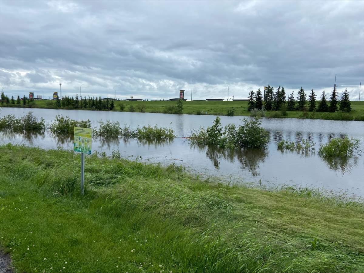 An overflowing stormwater pond in northeast Edmonton's Manning neighbourhood on Monday, June 22, 2026.