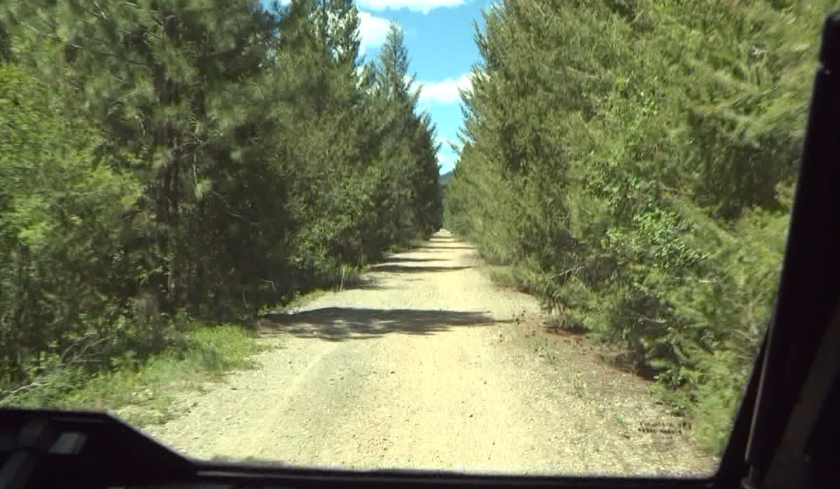 Parts of the KVR that was not close to the water did survive