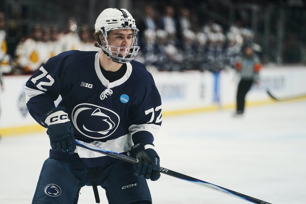 Maple Leafs Hold Top Pick In Nhl Draft - Beritaja