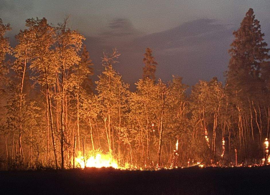 The Smell of Cold Ash and the Long Drive Home