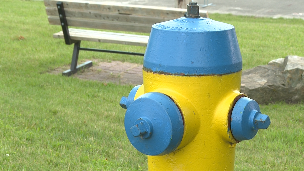 A fire hydrant in the community of Gananoque, Ont. is pictured on June 23.