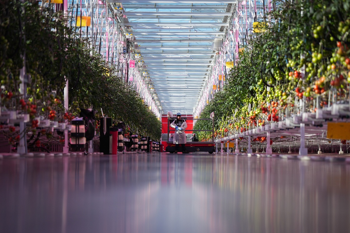 Why ramping up Canada’s indoor farming capacity may prove ‘difficult’