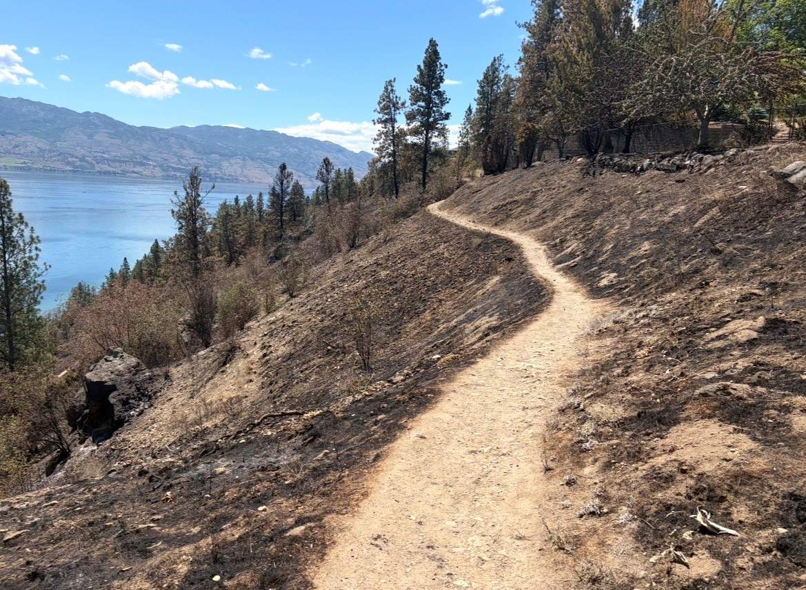 Suspected illegal campfire blamed for Kalamoir Park wildfire as safety concerns remain