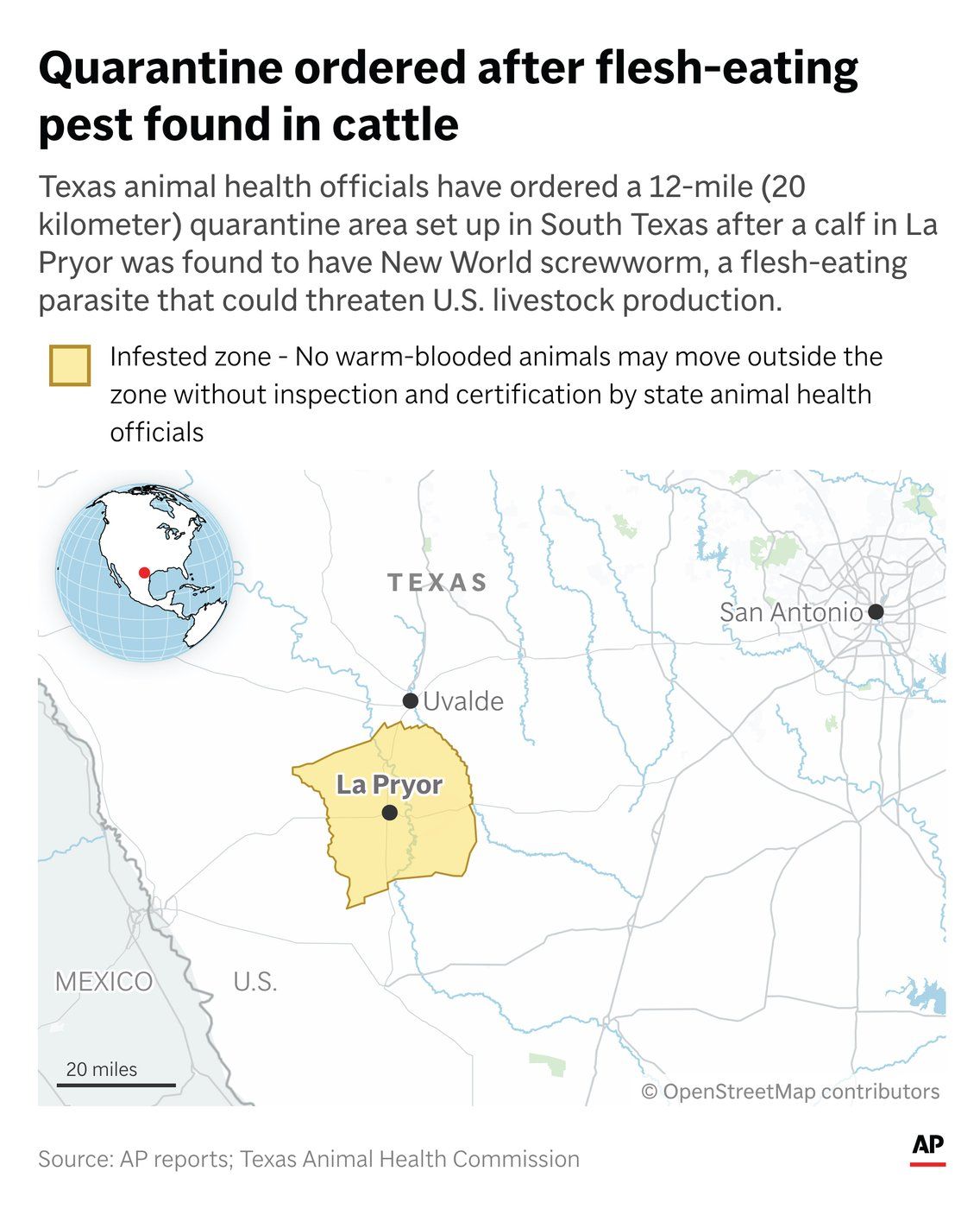 As screwworm spreads in U.S., what to know about the flesh-eating parasite - image