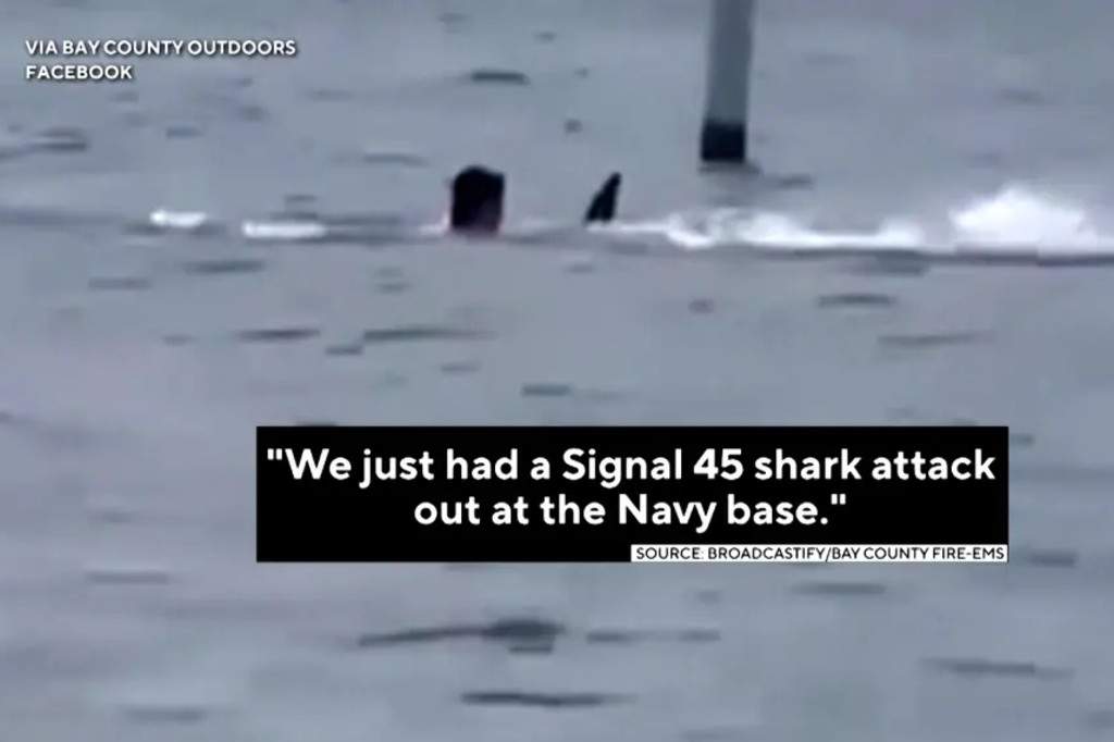 U.S. Navy base employee in critical condition afte