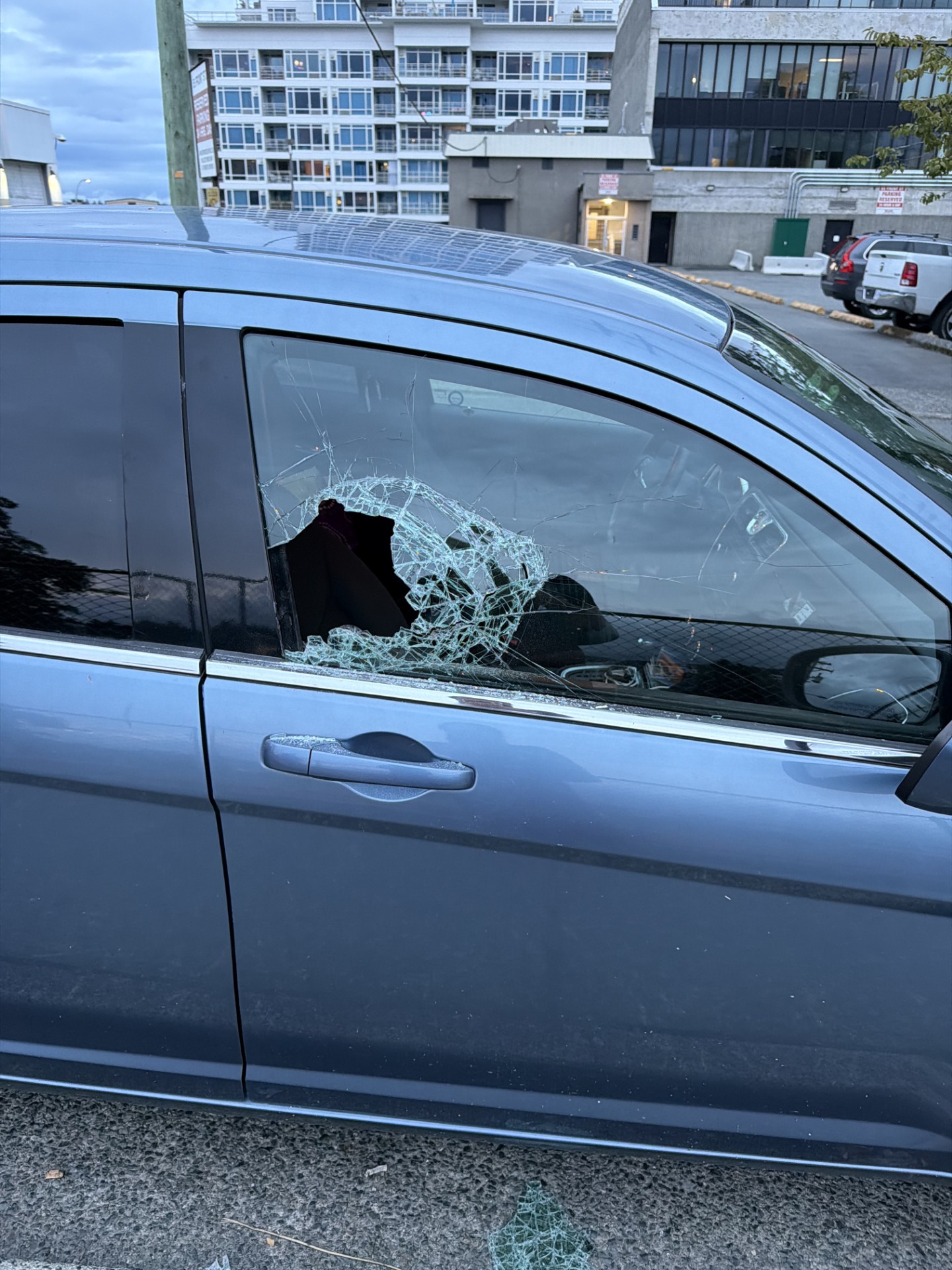 Собственичката на бар в Нанаймо казва, че й е писнало от престъпността в града, след като колата на дъщеря й е атакувана