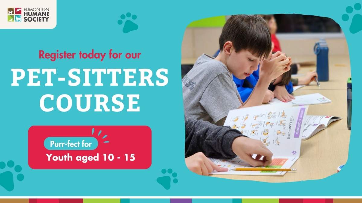EHS Pet Sitters Course - image