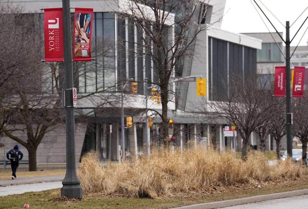 Ontario funds new family medical school as it preps for 2028 opening