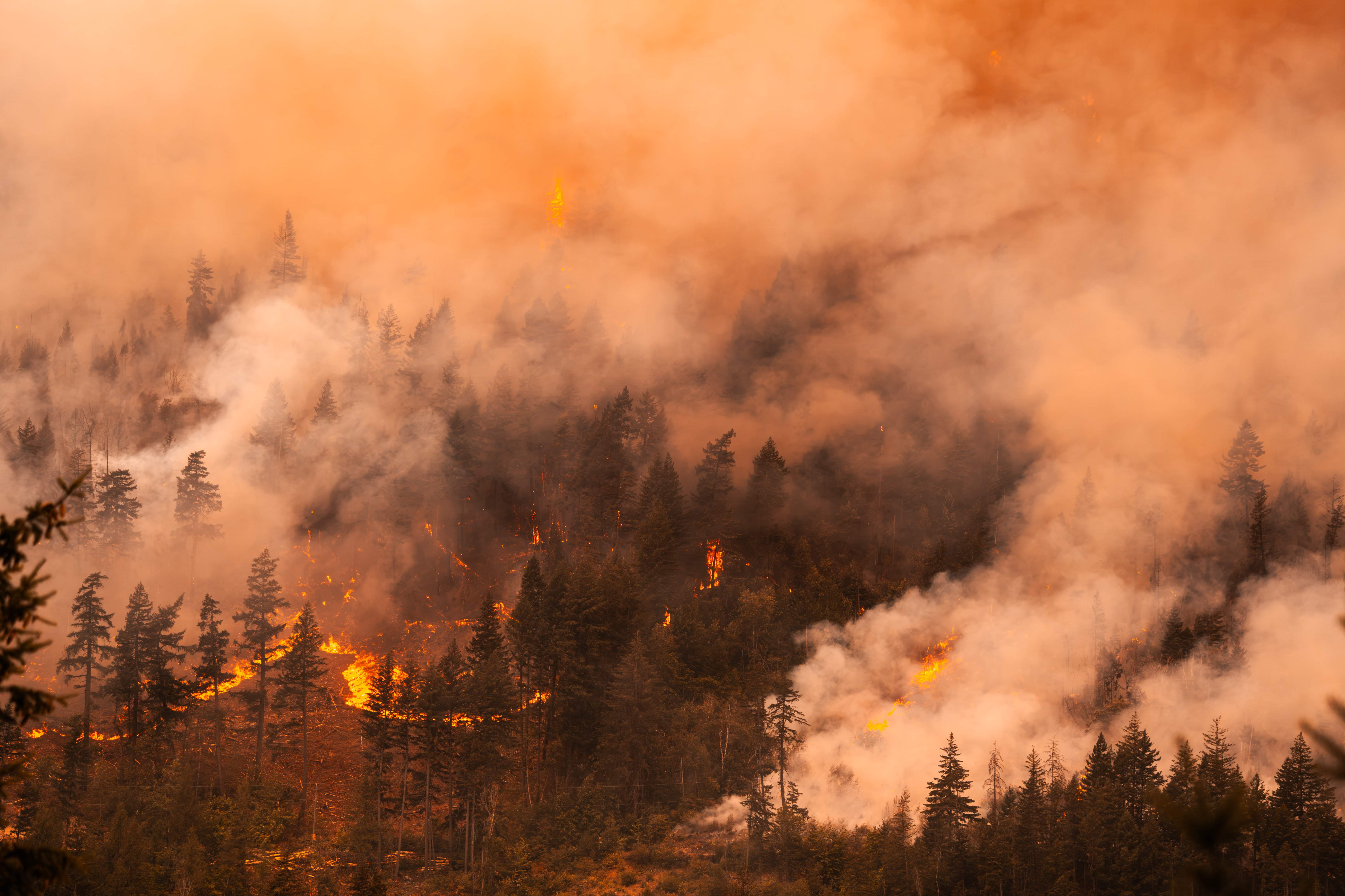 Photos show wildfires raging across parts of British Columbia