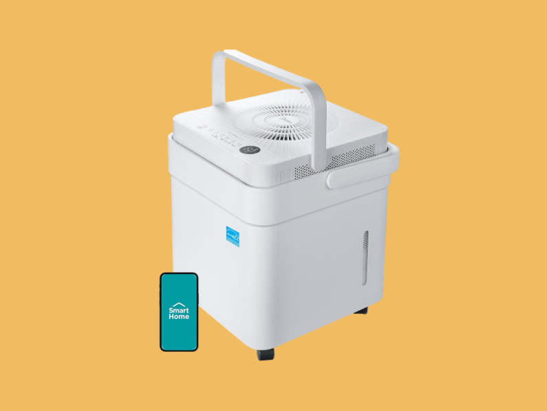 The Curator: Your guide to mold & mildew prevention & protection