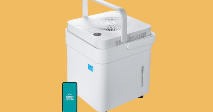 The Curator: Your guide to mold & mildew prevention & protection – National | Globalnews.ca The Curator: Your guide to mold & mildew prevention & protection – National | Globalnews.ca