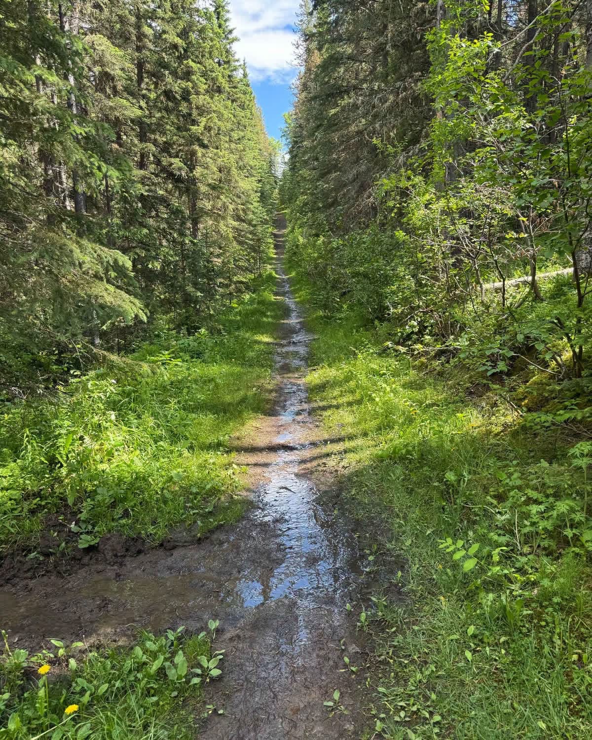 Kananaskis drying up after recent floods but some trails remain closed