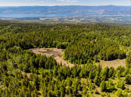 BC Parks набира средства за защита на един от последните частни парцели на Myra Bellevue
