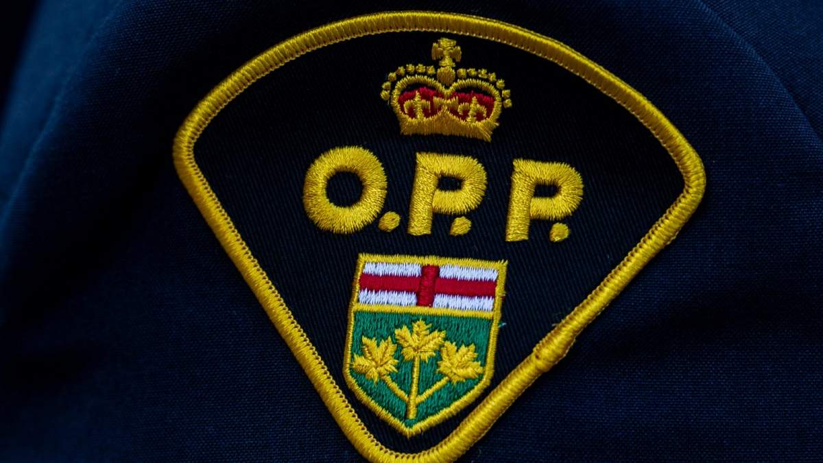 ‘Infuriating’: Cat dies after being thrown from moving vehicle, OPP say