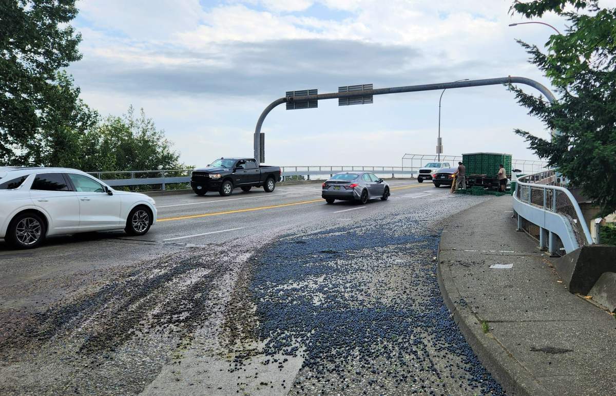 Blueberries spilled on the roadway in Mission.