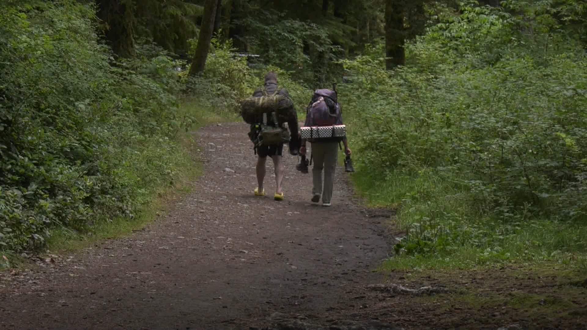 Hikers evacuated from West Coast Trail as Parks Canada says parts are impassable