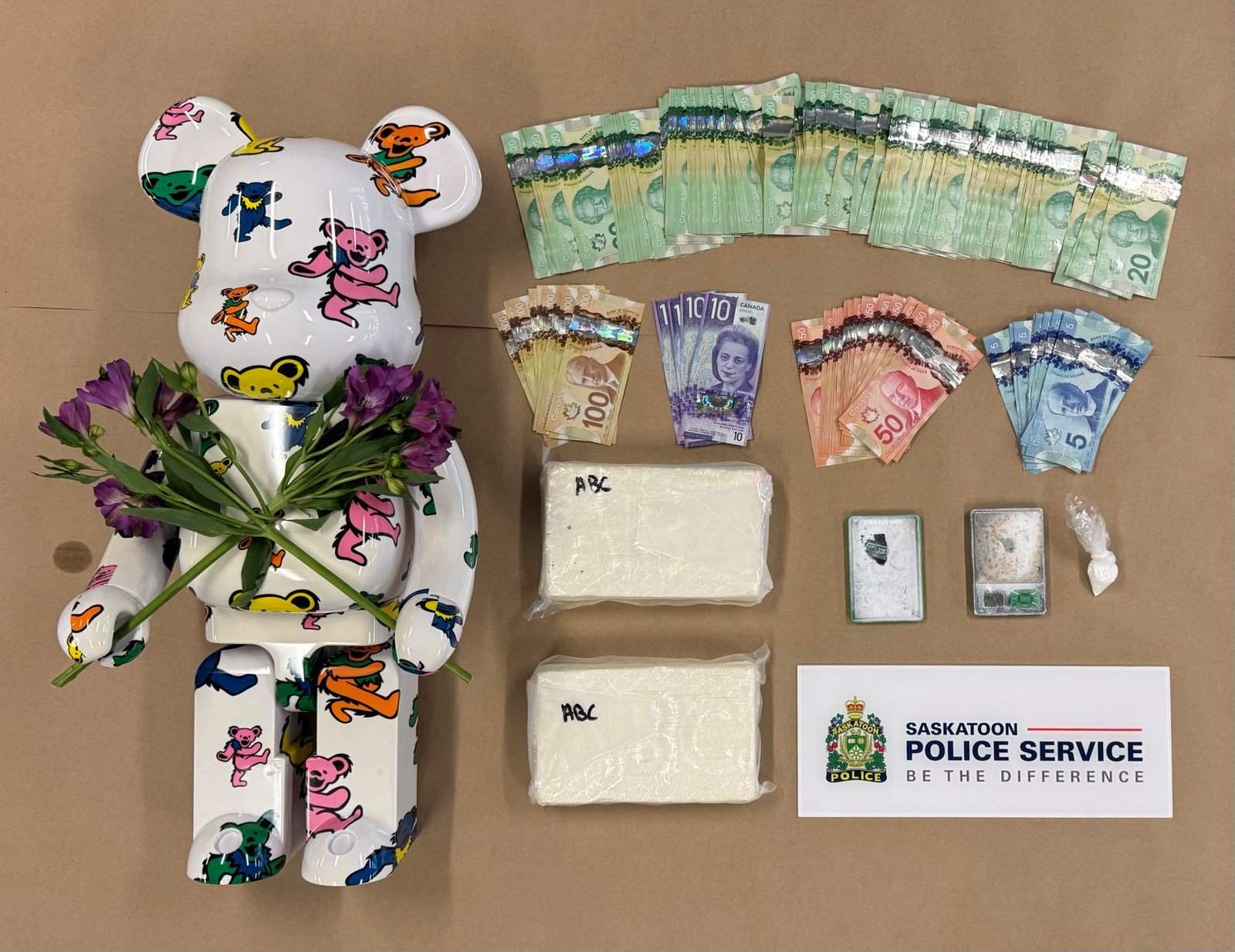 Cocaine, collectible bear seized in Saskatoon drug bust