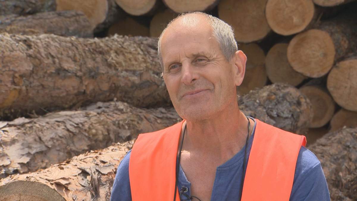 Manitoba logging industry threatened amid raging wildfires