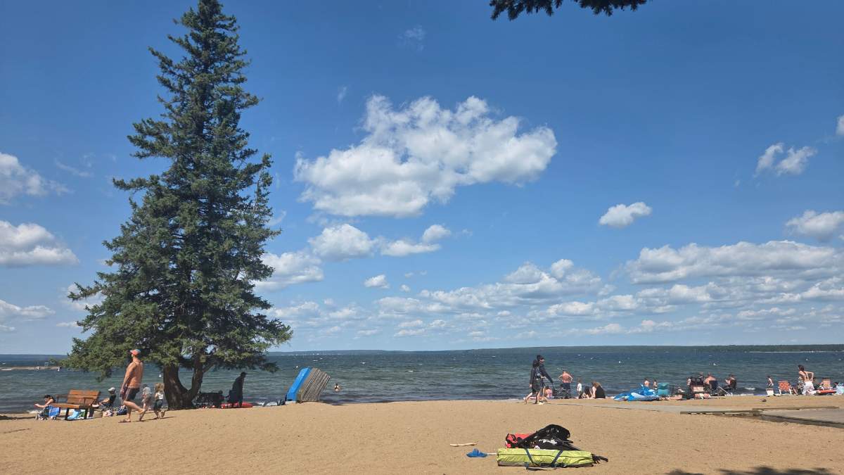 Visitors say elk encounters, tensions on the rise at Waskesiu