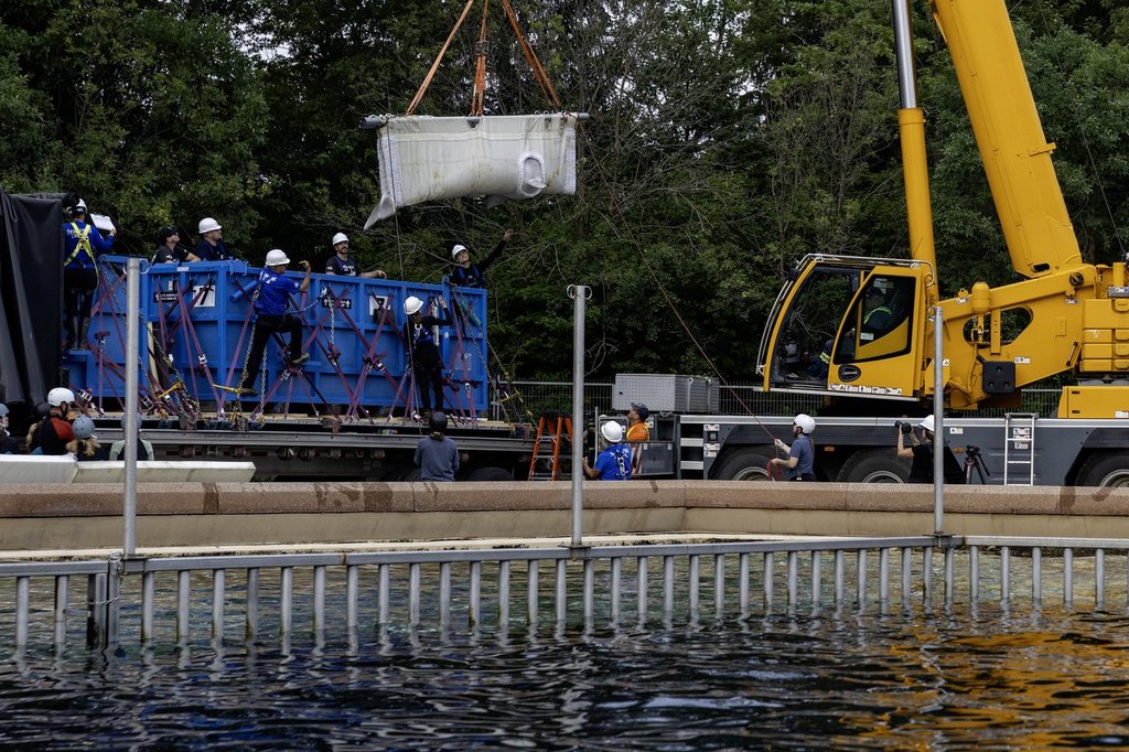 Шест белуги от Marineland вече плуват в нови домове в САЩ