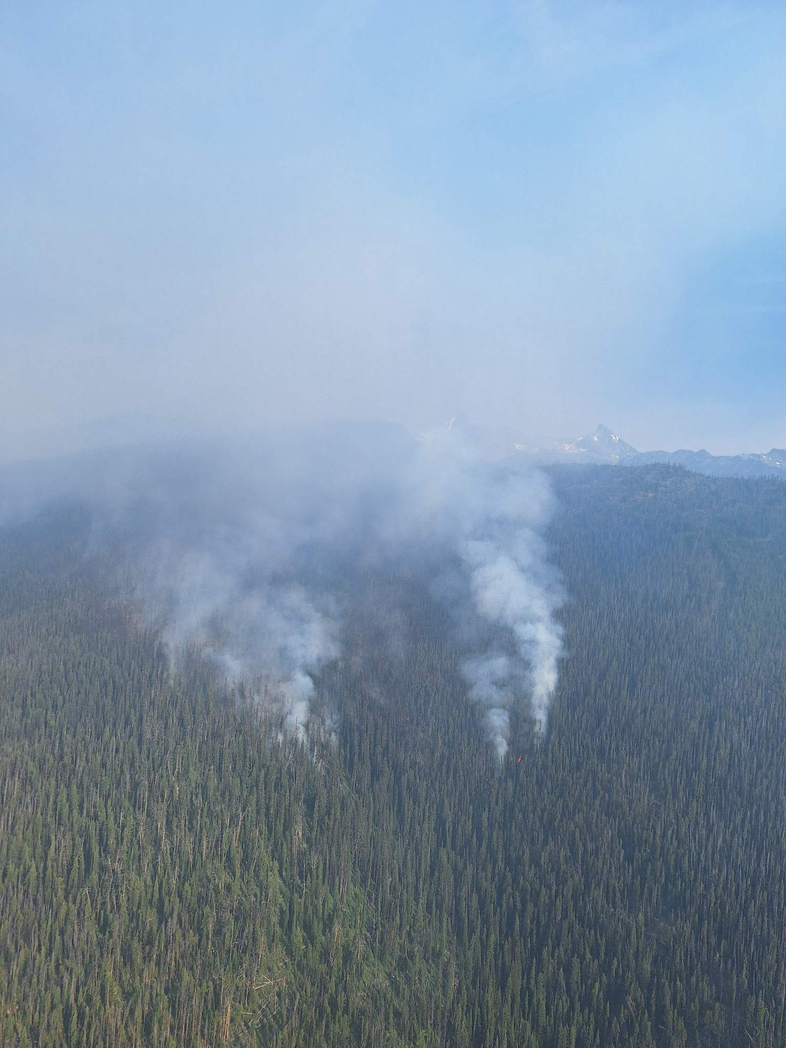Kimberley, B.C. on evacuation alert as wildfire grows to 567 hectares