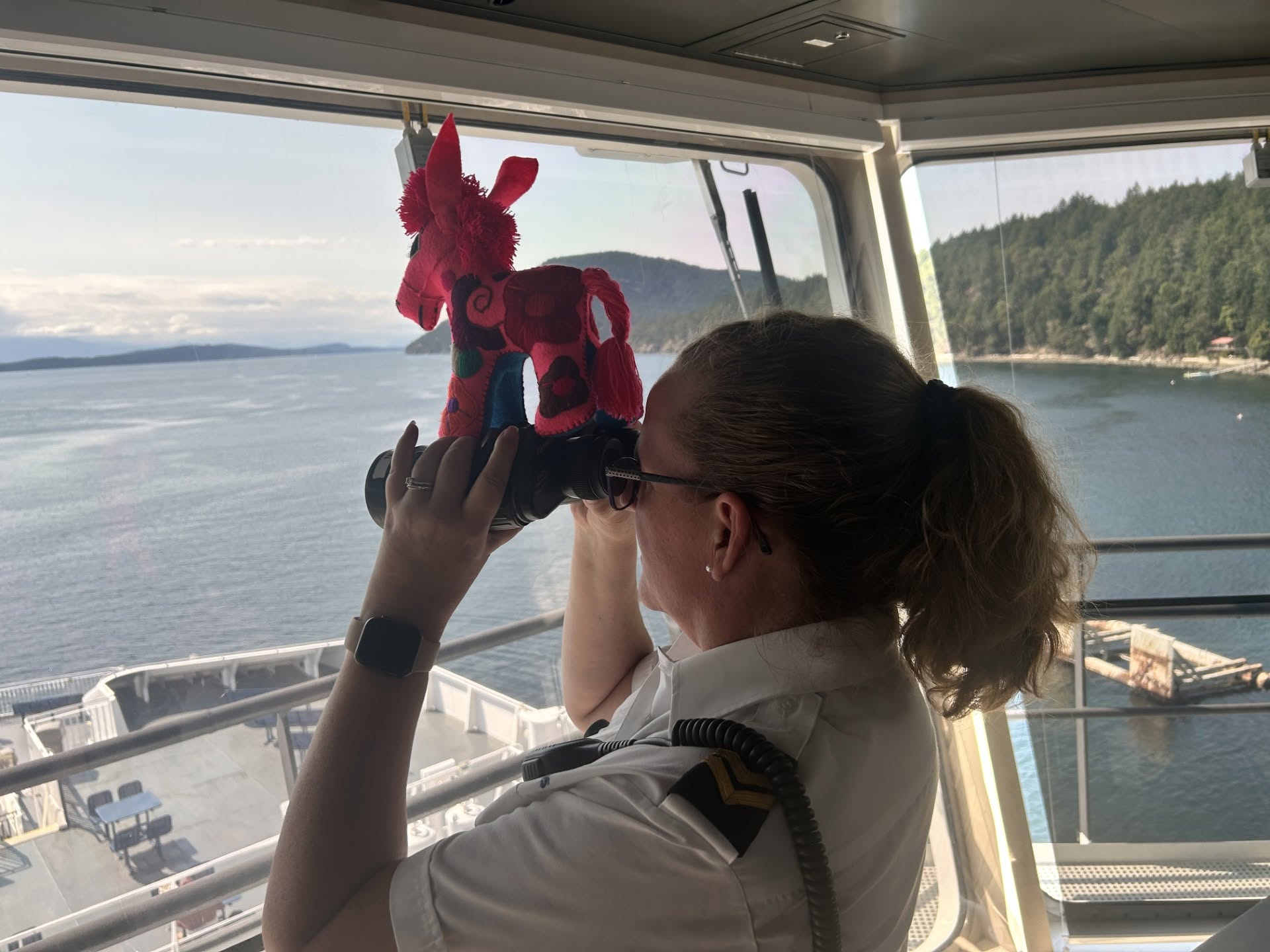 Приключението на Churro the Burro на BC Ferries зарадва хиляди