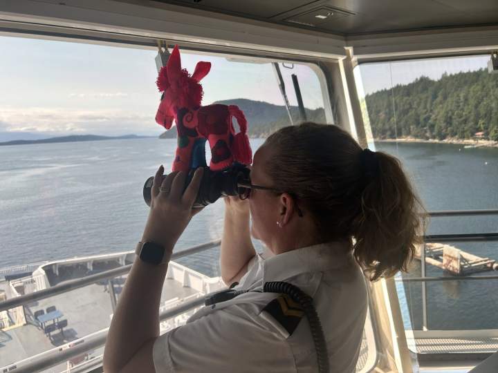 Churro the Burro’s adventure on BC Ferries delights thousands