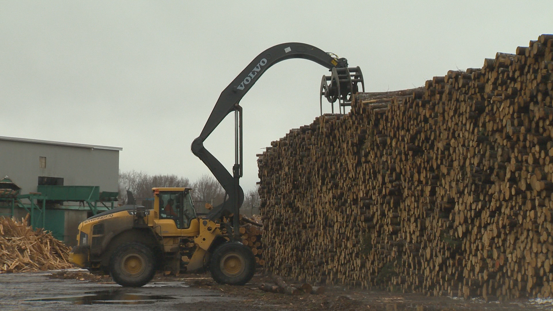 New U.S. tariffs could devastate some New Brunswick communities, small businesses - New Brunswick