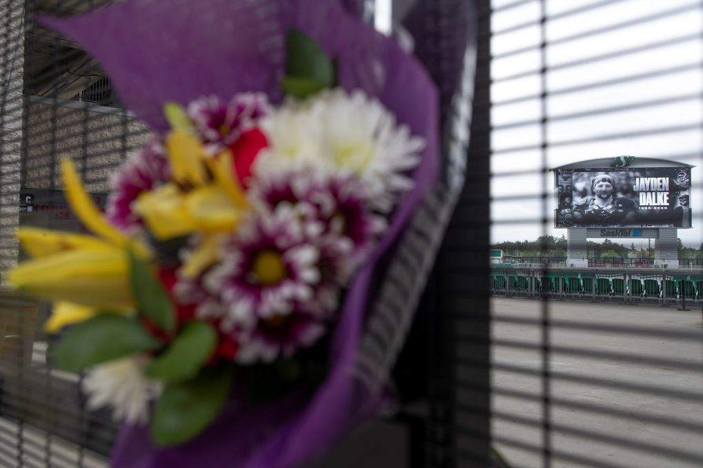 Cannabis, alcohol found in SUV of Saskatchewan Roughrider killed in fatal collision - image