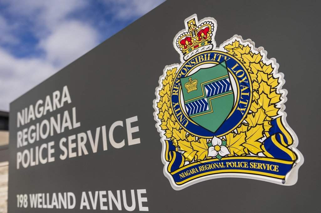 Niagara police renew call for help solving case of 8 horses stabbed last year