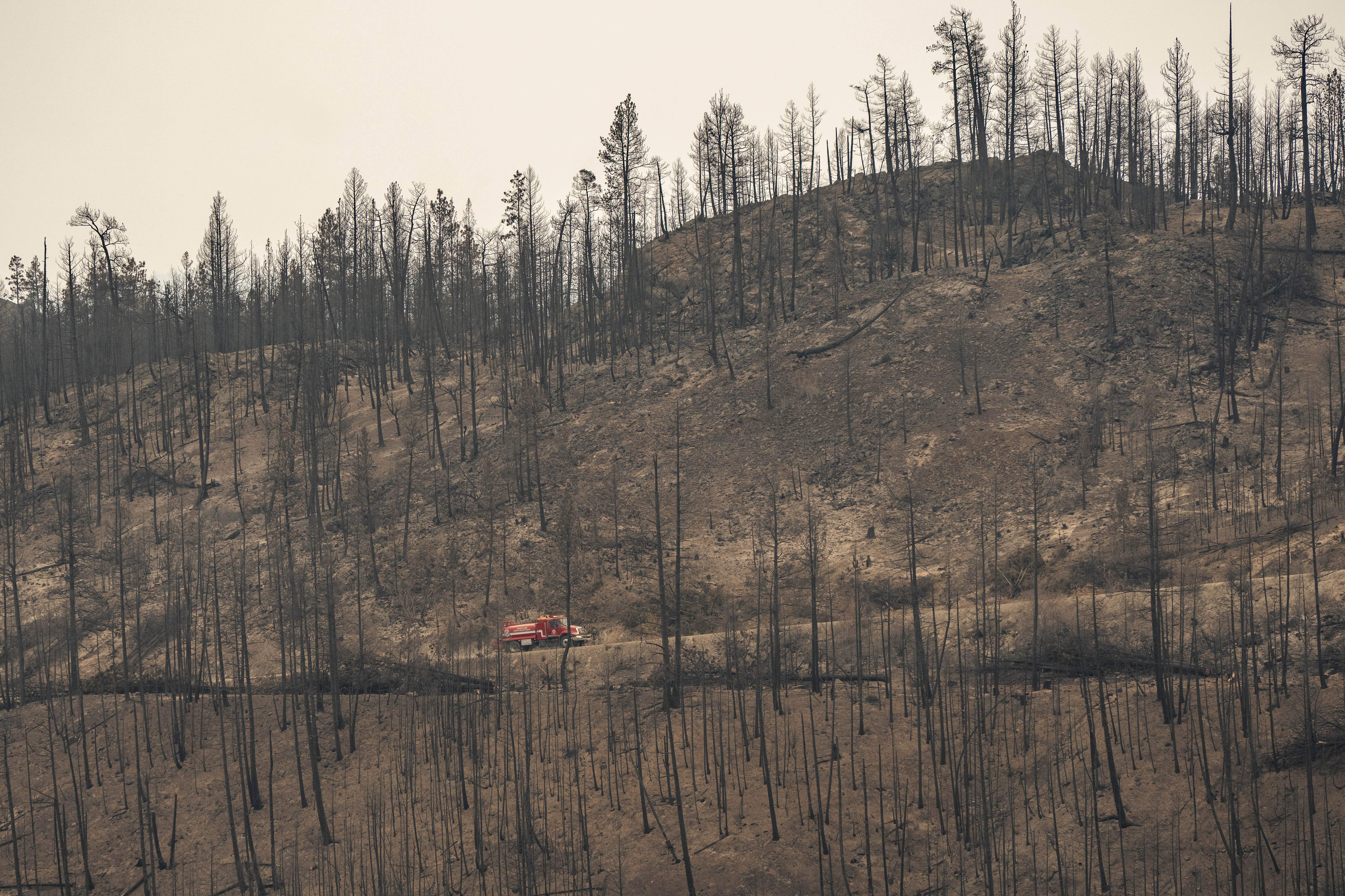 Questions raised about B.C.'s approach to prescribed burns ahead of wildfire season