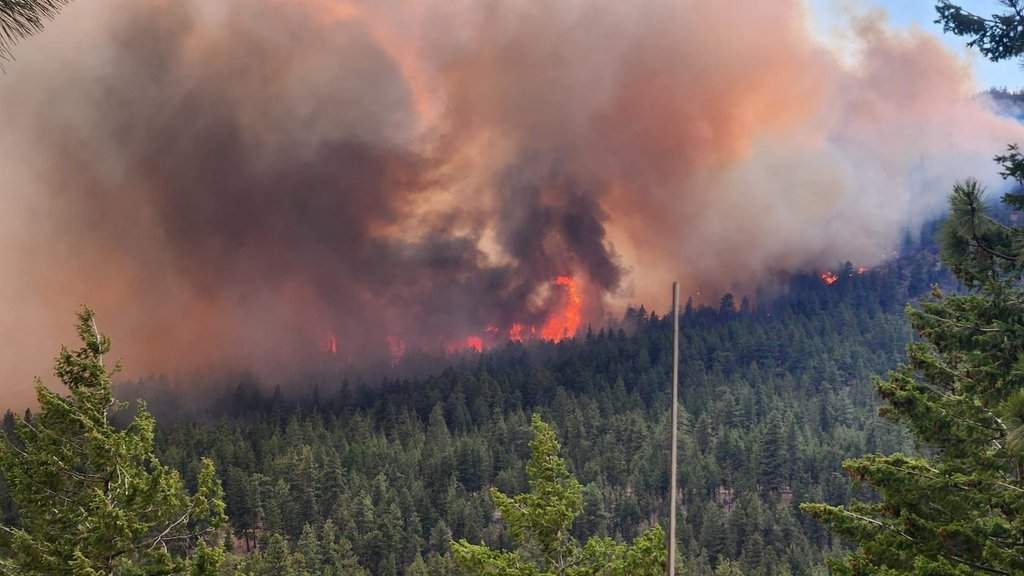 Bald Range wildfire: New orders issued as some residents allowed home